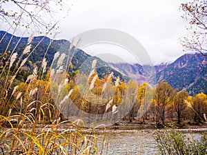 Fall season of kamikochi, Japan