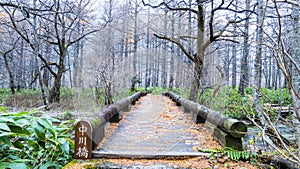 Fall season of kamikochi national park, Japan