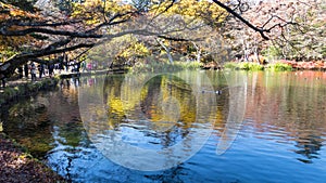 Fall season of kamikochi national park, Japan