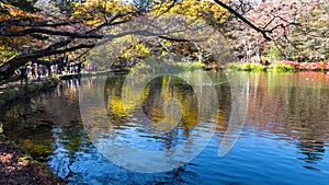 Fall season of kamikochi national park, Japan