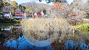 Fall season of kamikochi national park, Japan