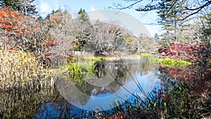 Fall season of kamikochi national park, Japan