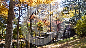 Fall season of kamikochi national park, Japan