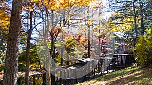 Fall season of kamikochi national park, Japan