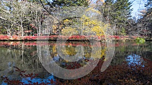 Fall season of kamikochi national park, Japan