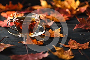 Fall season, leisure time and tea time concept.