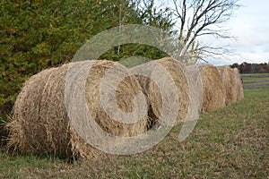 Fall season means bales of hay for feeding the horses during the winter months