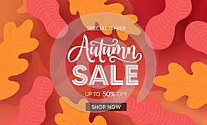 Fall season sale vector banner background. Autumn seasonal sale text with colorful maple and oak leaves