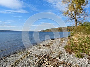 Fall season shoreline on cayuga lake