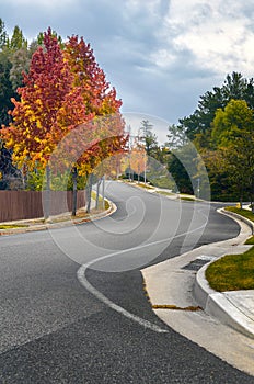 Fall season view of winding road in suburban Southern California.