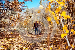 Fall season walk. Senior family couple walking in autumn park. Man and woman relaxing outdoors enjoying weather