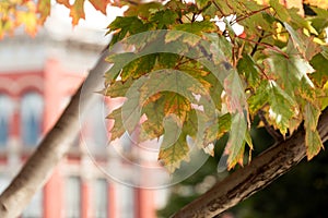 Fall season on Water Street in Port Townsend