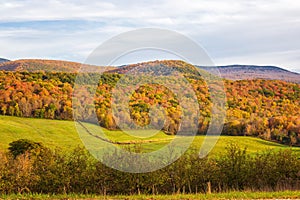 Fall Season in Western Massachusetts