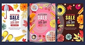 Fall illustration. Vector sale banner or poster. Frames, backgrounds with autumn harvest, accessories and leaves.