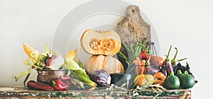 Fall seasonal vegetarian food ingredients variety, copy space, wide composition