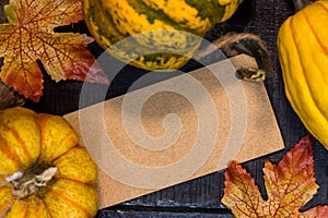 Fall shopping sale promotion in Autumn season. Harvest cornucopia background