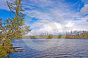 Fall Skies in the North Woods