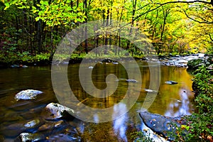 Fall in the smoky mountains