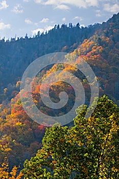 Fall Smoky Mountains