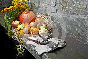 Fall still life