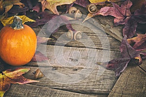 Fall Still Life with Mini Pumpkin and Maple Leaves on Rustic Wood boards as a Thankgiving or Halloween design element, copy space