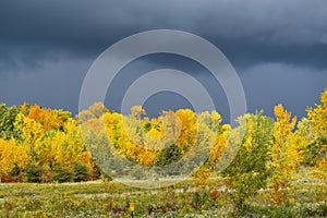 Fall Storm Clouds at High Cliff State Park. Sherwood, WI photo