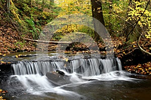 Fall Stream