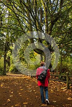 Fall Stroll photo