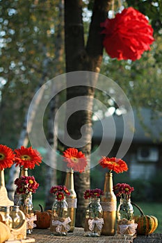 Fall and table decorations in nature