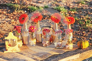 Fall and table decorations in nature
