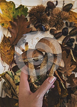 Fall on the table with with mushrooms and autumn fruits