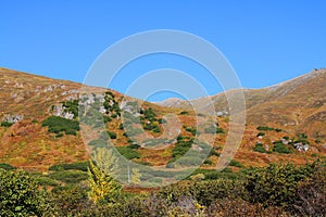 Fall In The Talkeetna Mountains