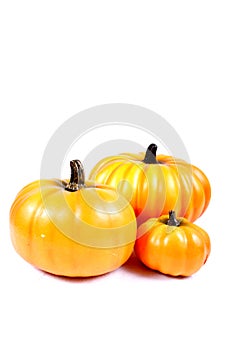 Fall - Thanksgiving Decorations photo