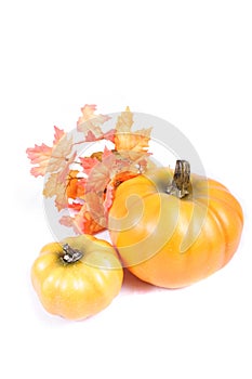 Fall - Thanksgiving Decorations photo