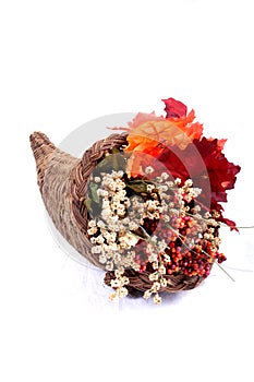Fall - Thanksgiving Decorations photo