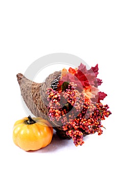Fall - Thanksgiving Decorations photo