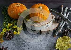 Fall Thanksgiving and Halloween. Oktoberfest. Autumn harvest. Ripe pumpkins, yellow leaves, birch branches, cones on the