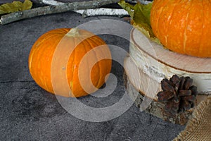 Fall Thanksgiving and Halloween. Oktoberfest. Autumn harvest. Ripe pumpkins, yellow leaves, birch branches, cones on the