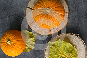 Fall Thanksgiving and Halloween. Oktoberfest. Autumn harvest. Ripe pumpkins, yellow leaves, birch branches, cones on the