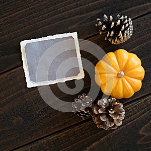 Fall Thanksgiving Invite or Menu Card with Vintage Torn Paper with Room or Space for your words, copy, or text. Square photo with