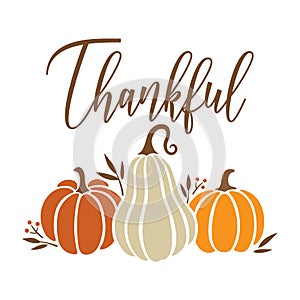 Fall Thanksgiving Pumpkin Vector Illustration