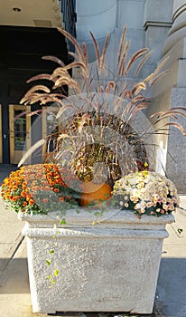 Fall Themed Concrete Planter