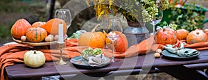 Fall themed holiday table setting arrangement for a seasonal party, banner