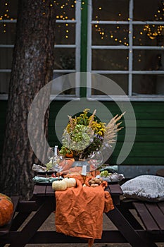 Fall themed holiday table setting arrangement for a seasonal party in the yard