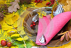 Fall Themed Table Setting Arrangement for Seasonal Party