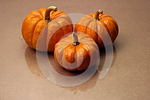 Fall - Three Pumpkins