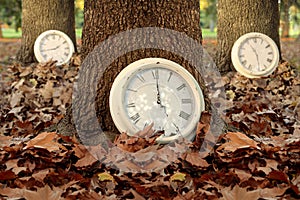 Fall time season clocks leaf forest background