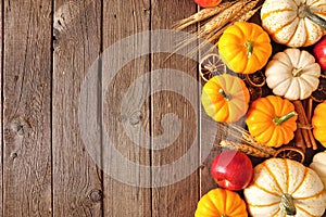 Fall top border of pumpkins, apples and spices on a rustic dark wood background