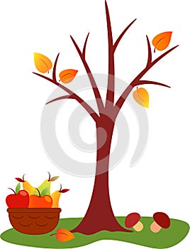 Fall Tree Illustration