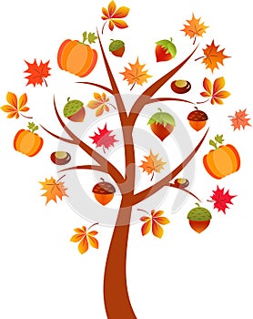 Fall Tree Illustration, Acorn Tree